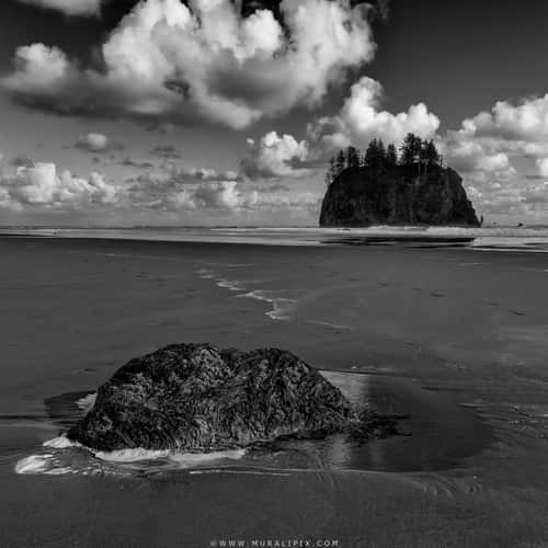 Second Beach Sea Stacks
