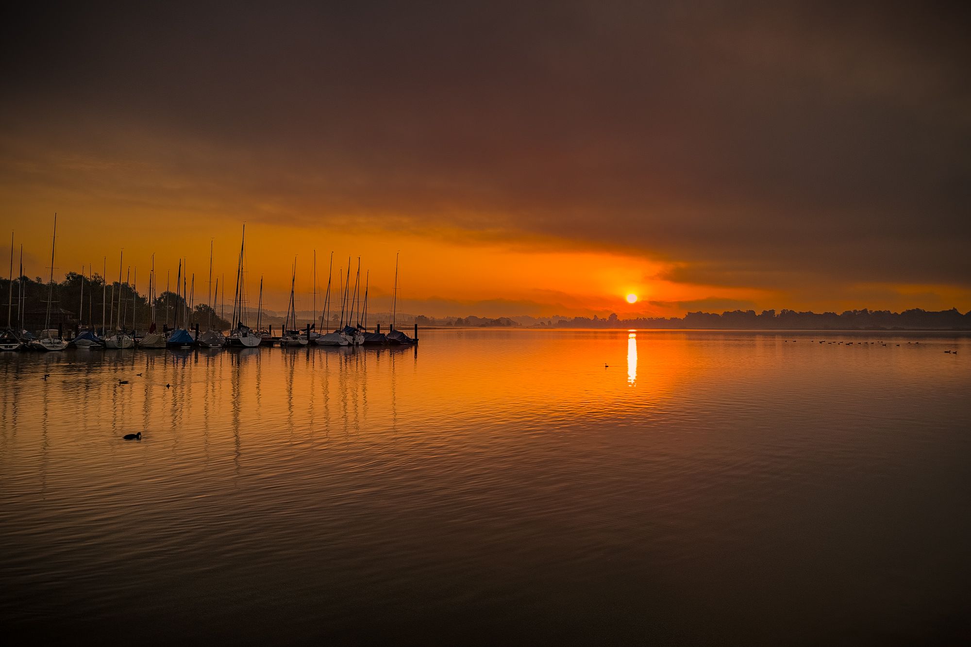 Sonnenaufgang über dem Bayrischen Meer, Germany
