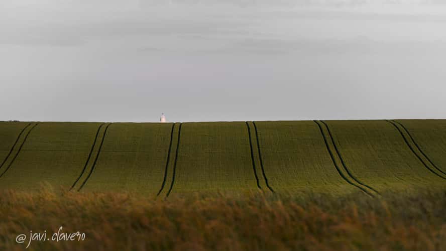South Foreland Lighthouse Behind the Fields
