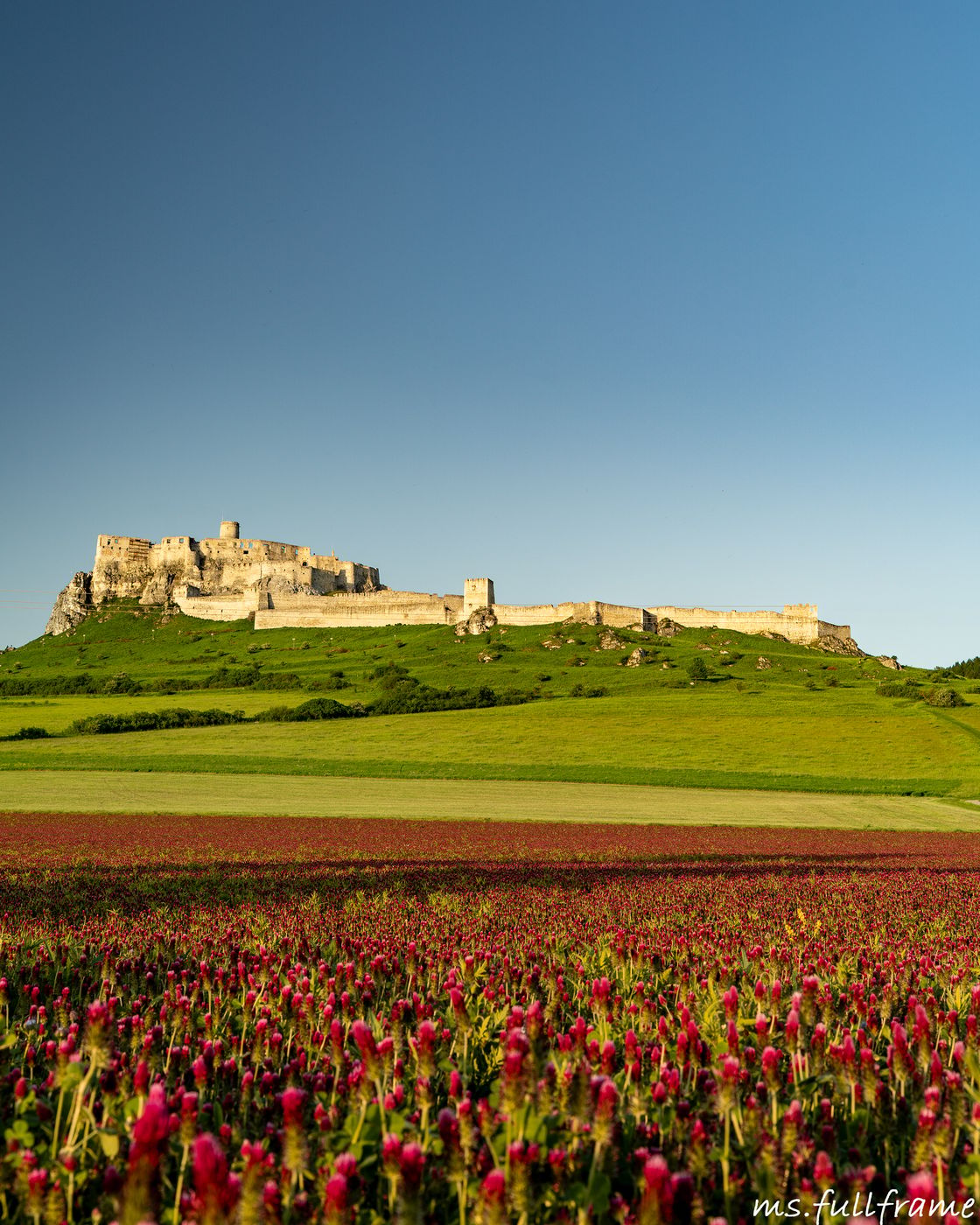 Spiš Castle, Slovakia (Slovak Republic)
