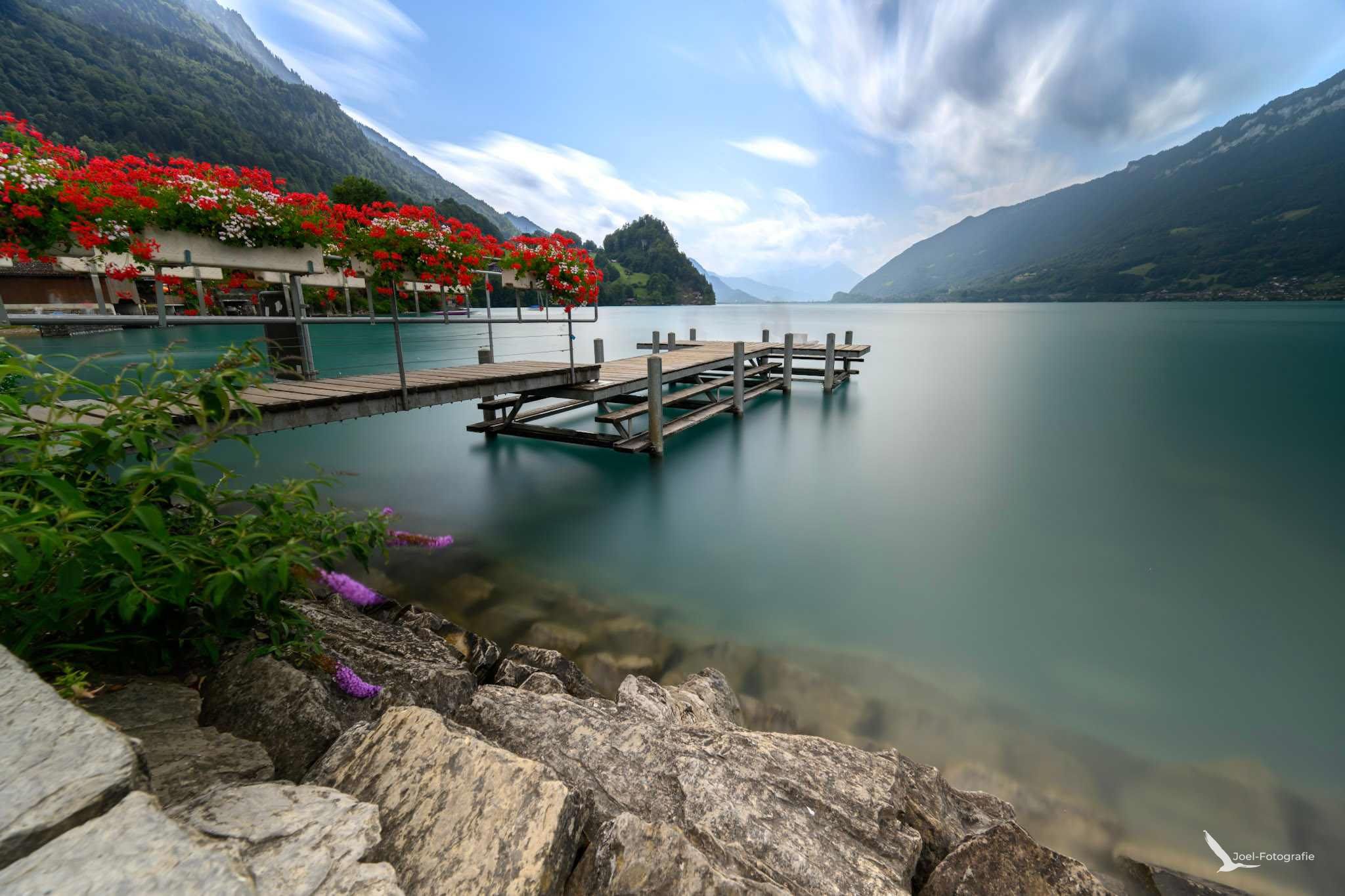 Steg Crash Landing on You, Switzerland