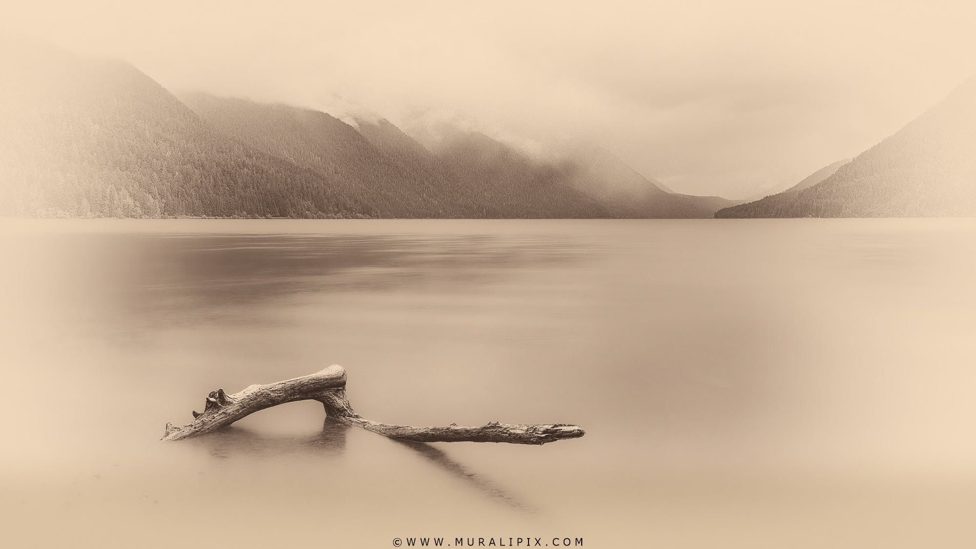 Sunset On Lake Crescent, USA