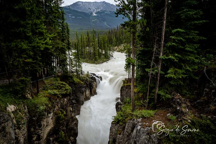 Sunwapta Falls from the Bridge