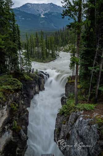 Sunwapta Falls from the Bridge