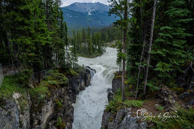 Sunwapta Falls from the Bridge
