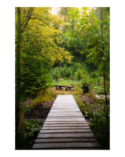 The Hidden Gem (or pond without name)