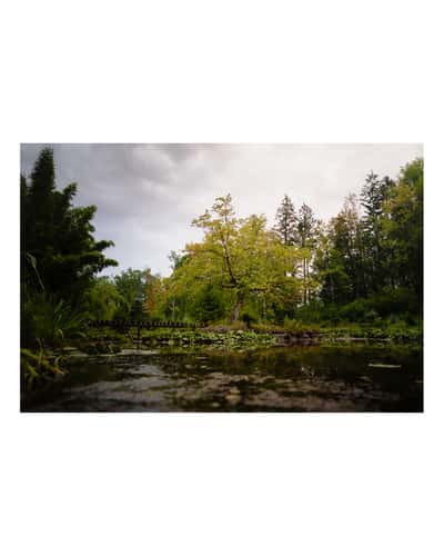 The Hidden Gem (or pond without name)