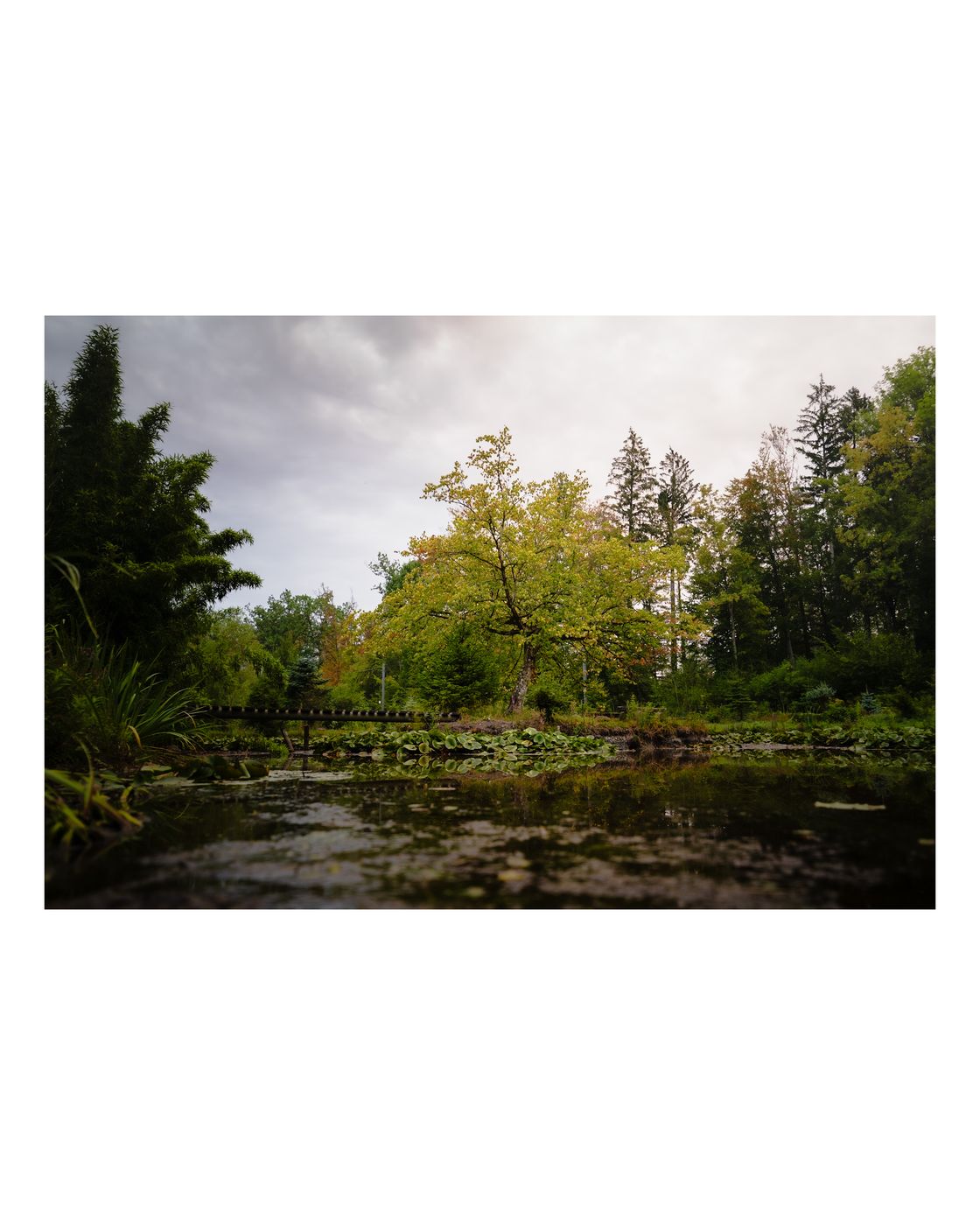 The Hidden Gem (or pond without name), Switzerland