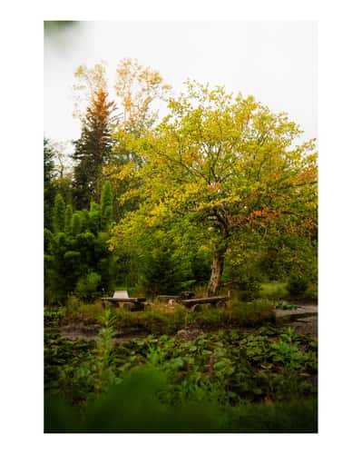 The Hidden Gem (or pond without name)