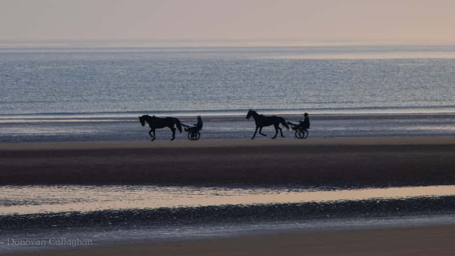 Trotters on Omaha Beach
