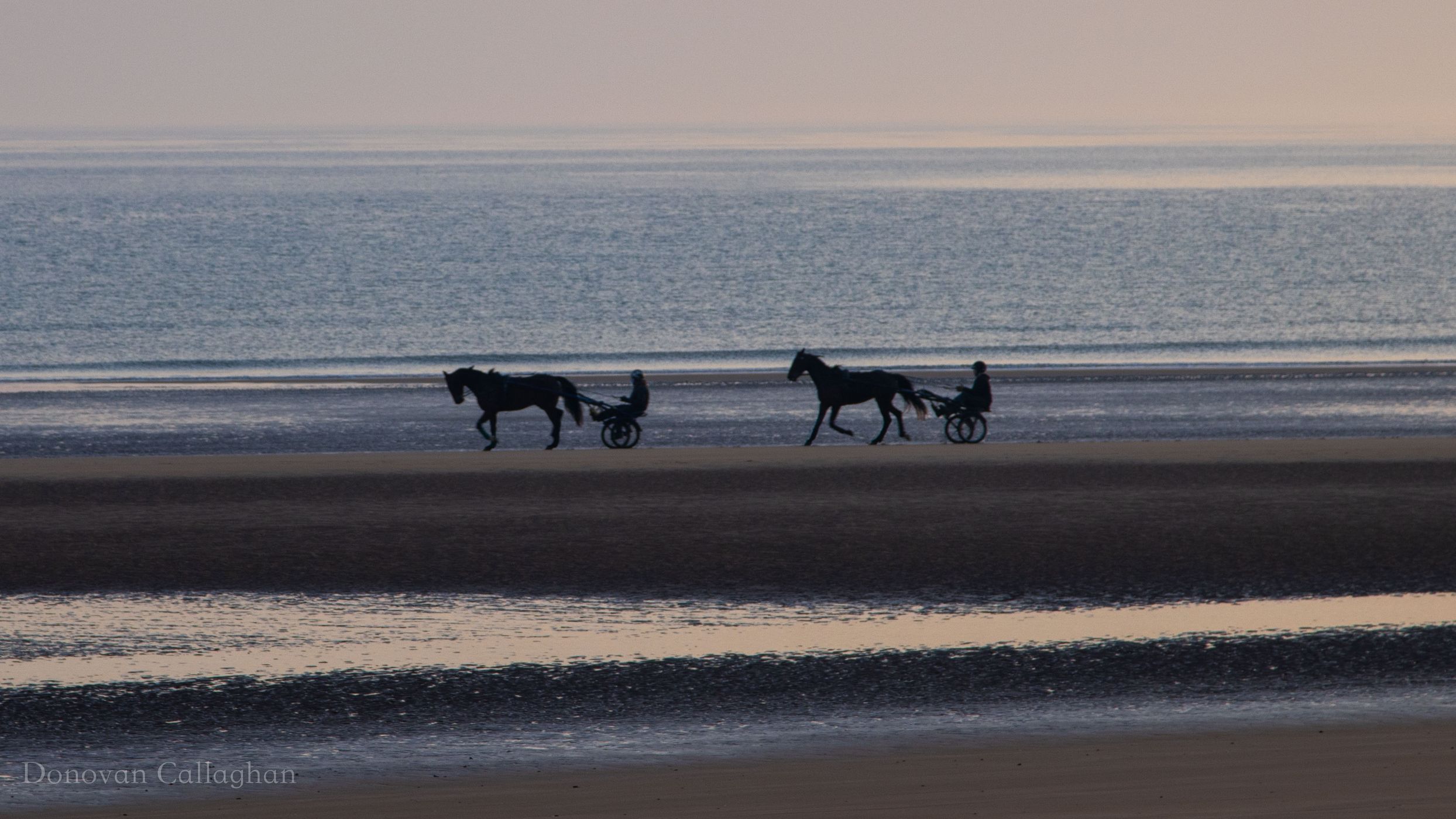 Trotters on Omaha Beach, France