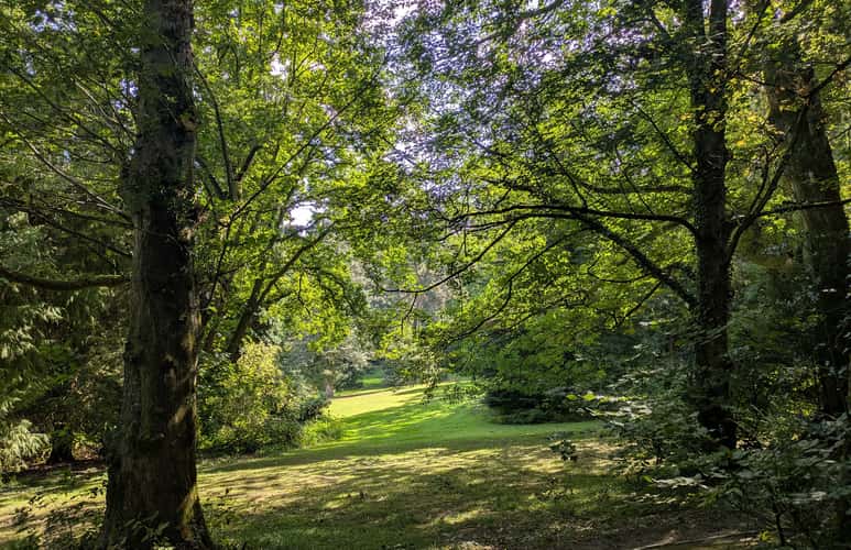 Von-Halfern Park