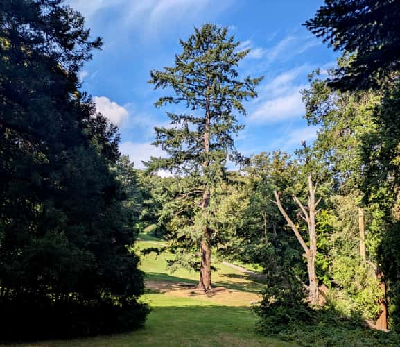 Von-Halfern Park