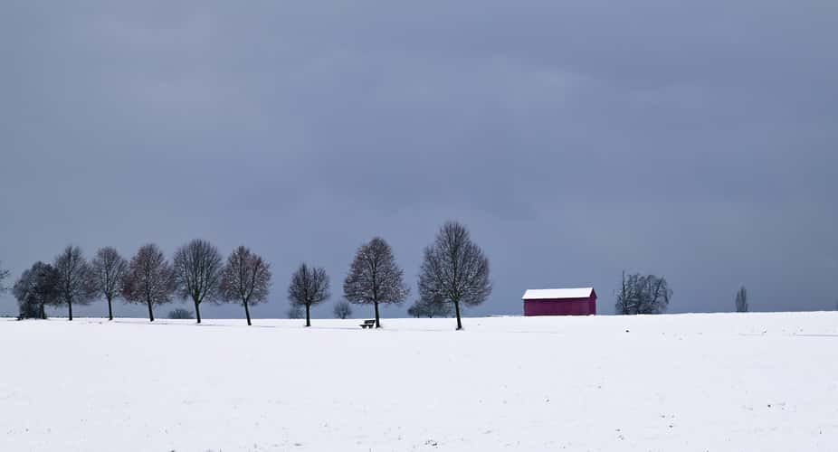 Waldenbuch Tree Line