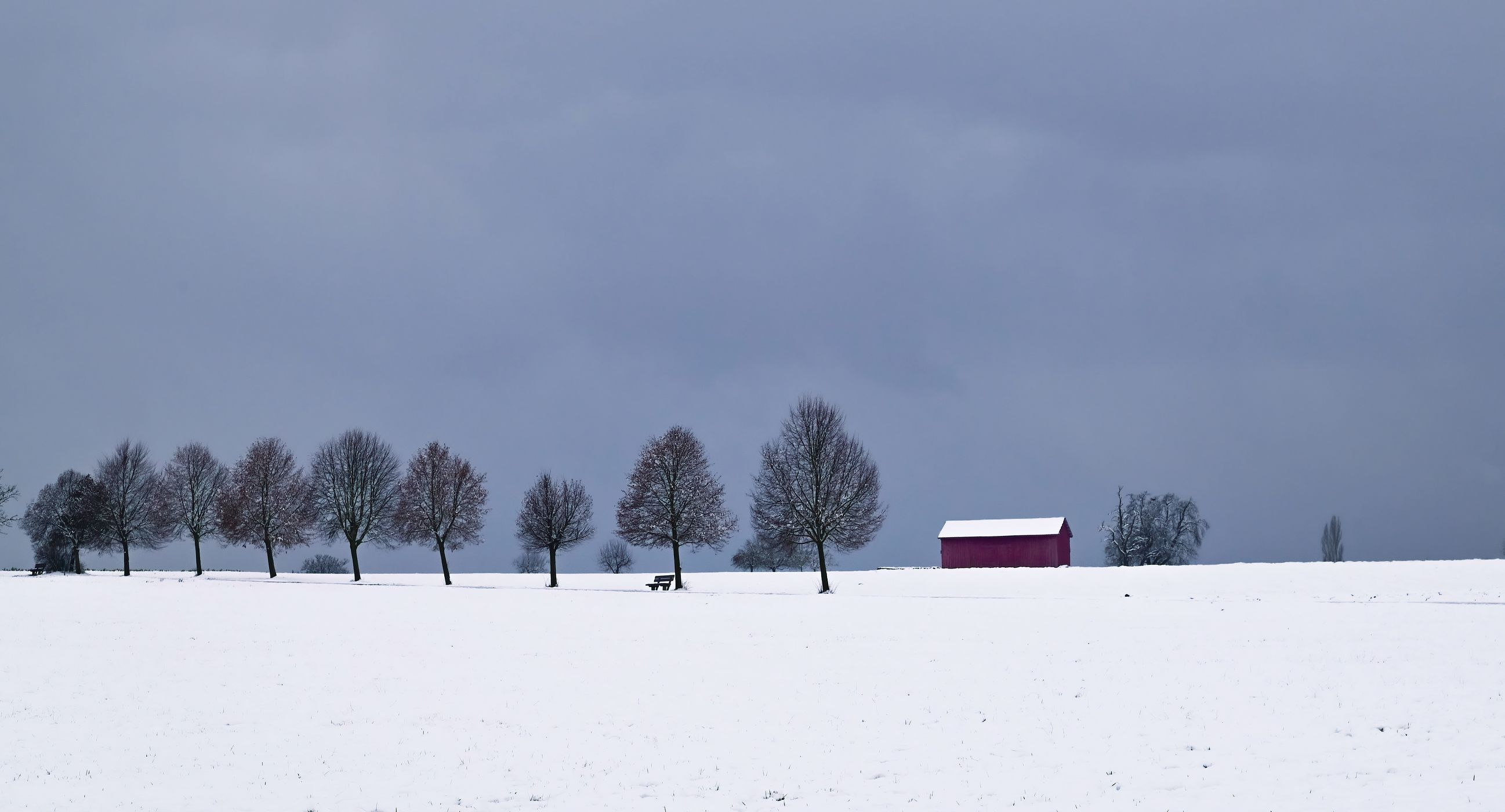 Waldenbuch Tree Line, Germany