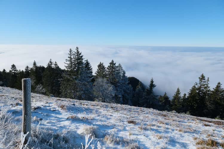 Winter Landscape