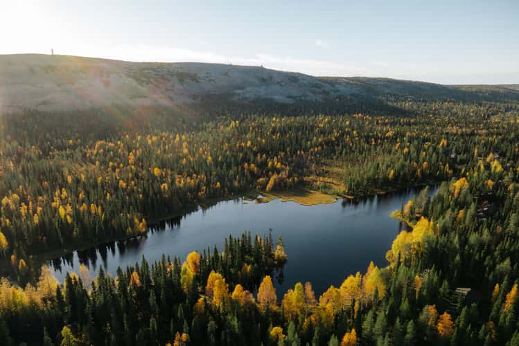 Aarnilampi, Luosto-Pyhä National Park