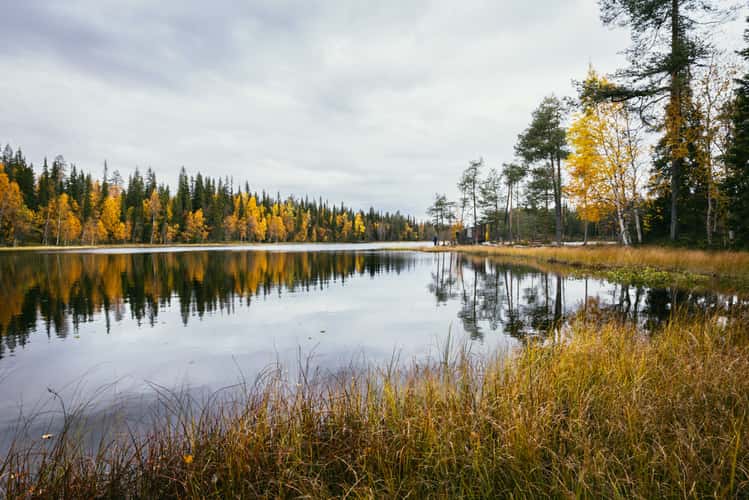 Ahvenlampi, Pyhä-Luosto National Park