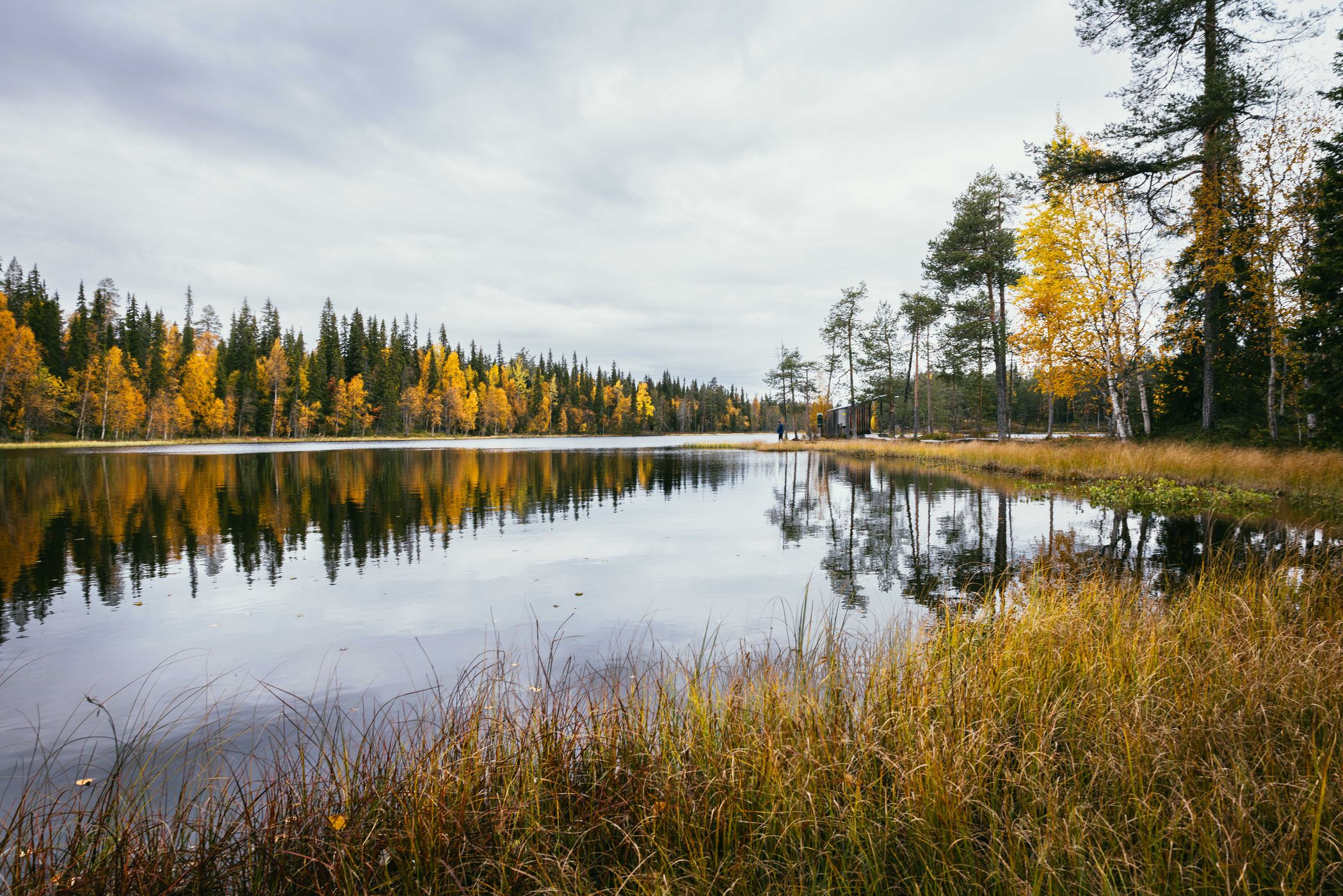 Ahvenlampi, Pyhä-Luosto National Park, Finland