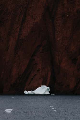 Ankervig, Scoresbysund