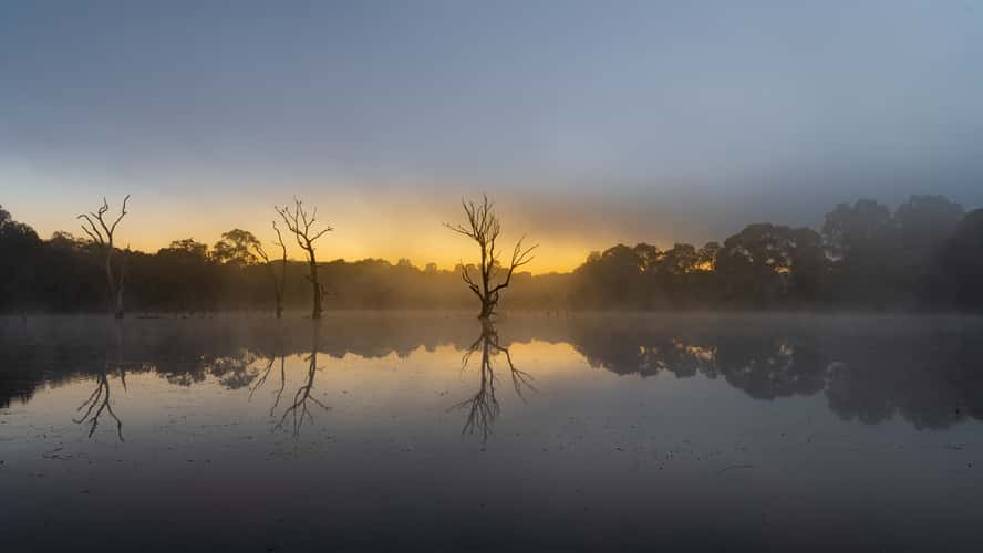 Banyule Flats Wetland