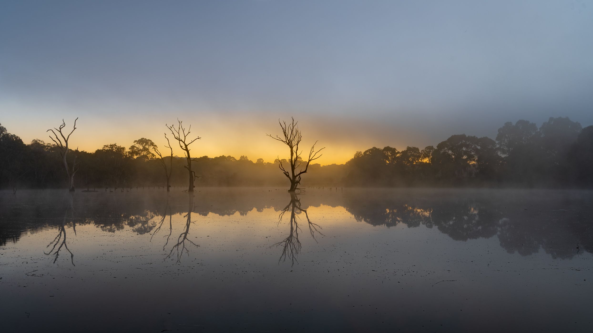 Banyule Flats Wetland, Australia