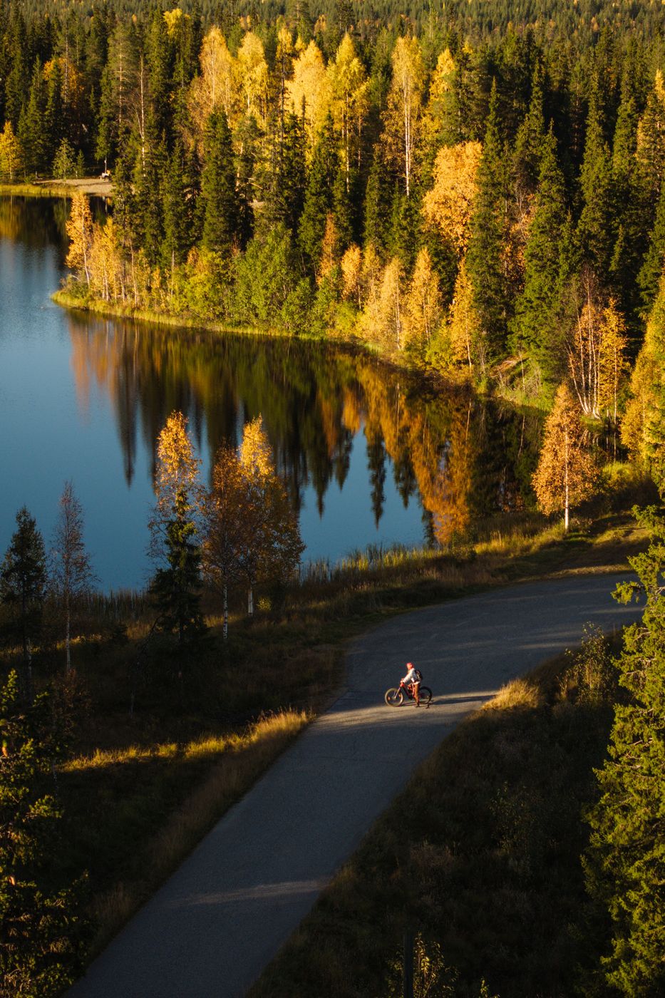 Biking near Aarnilampi, Luosto-Pyhä National Park, Finland