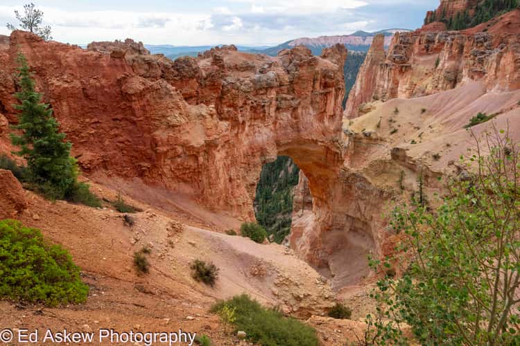 Bryce Canyon Natural Bridge