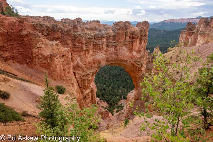 Bryce Canyon Natural Bridge