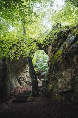Burgstall Torfelsen
