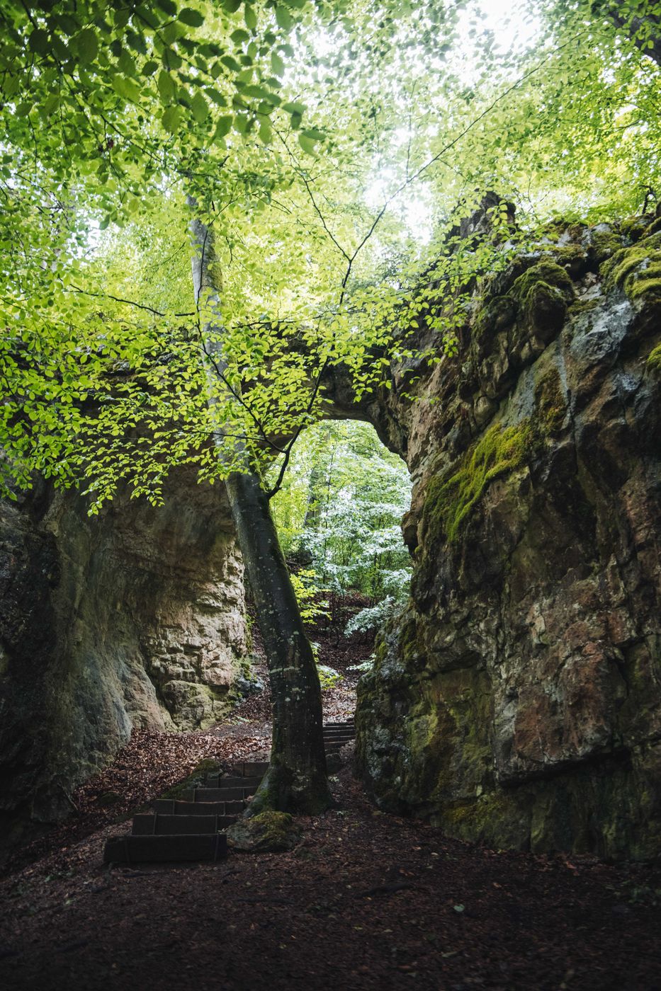 Burgstall Torfelsen, Germany