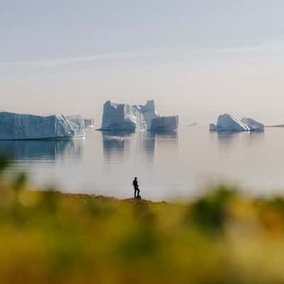 Charcot Havn, Scoresbysund, Greenland