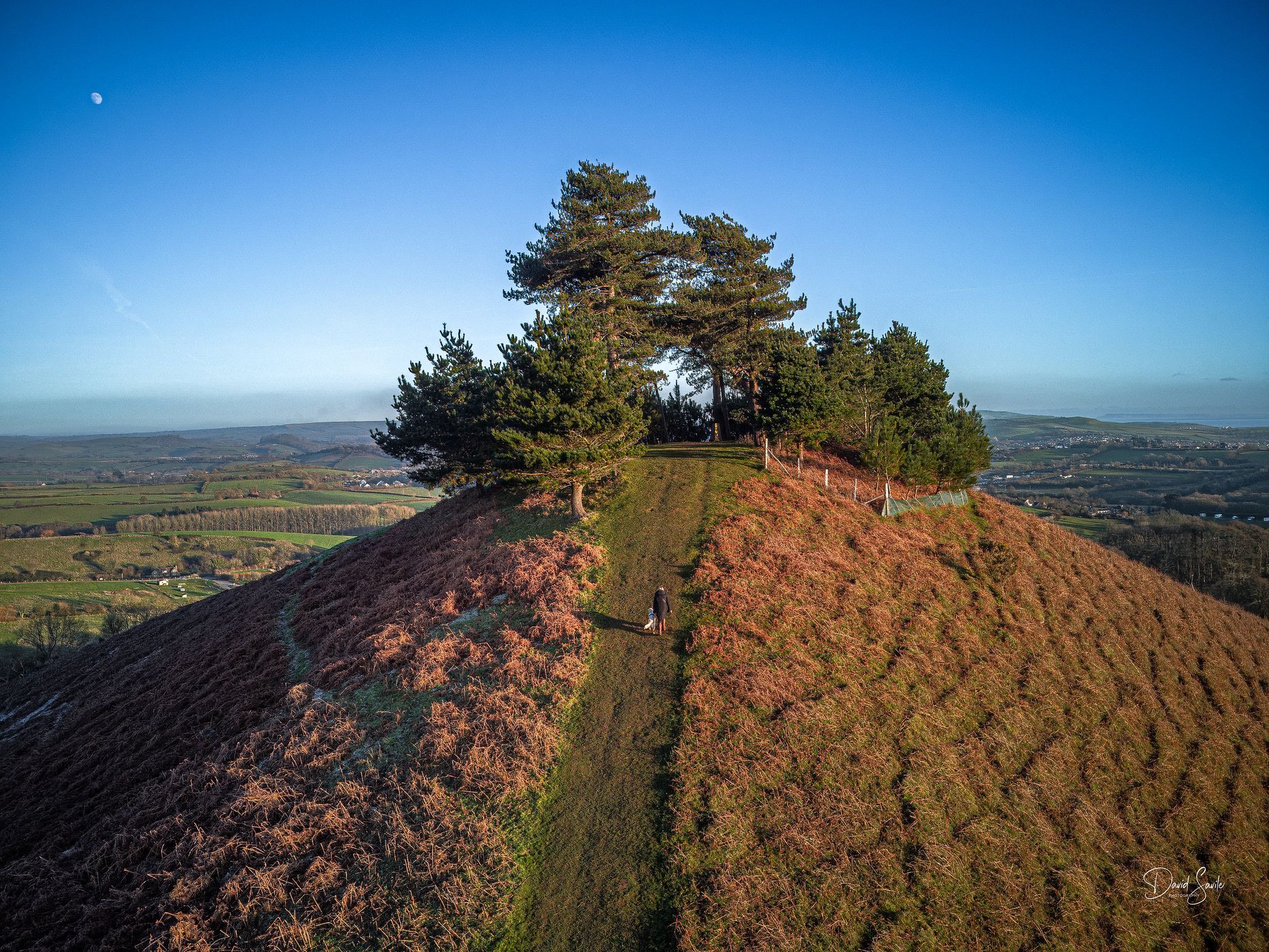 Colmer's Hill, Symondsbury, United Kingdom