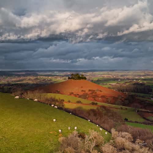 Colmer's Hill, Symondsbury