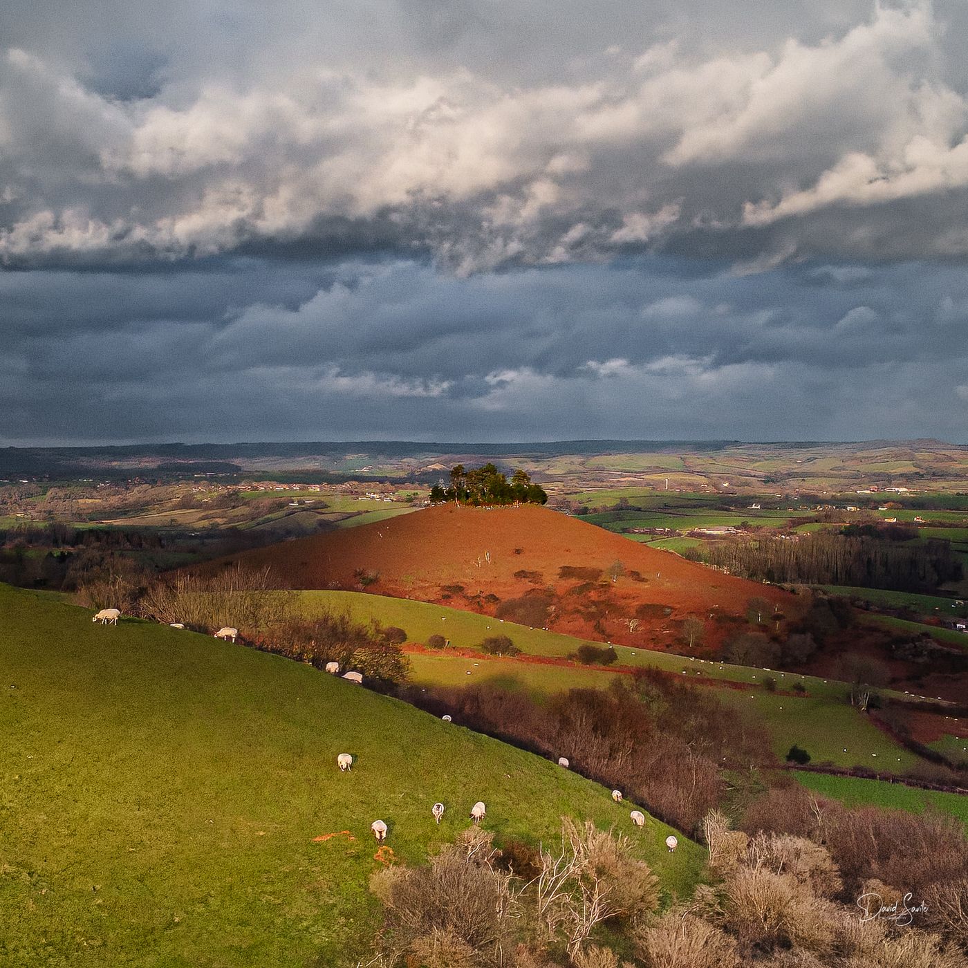 Colmer's Hill, Symondsbury, United Kingdom