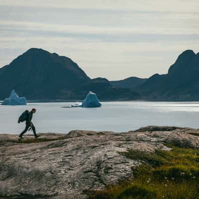Cotton gras and Bear Islands hike, Scoresbysund, Greenland