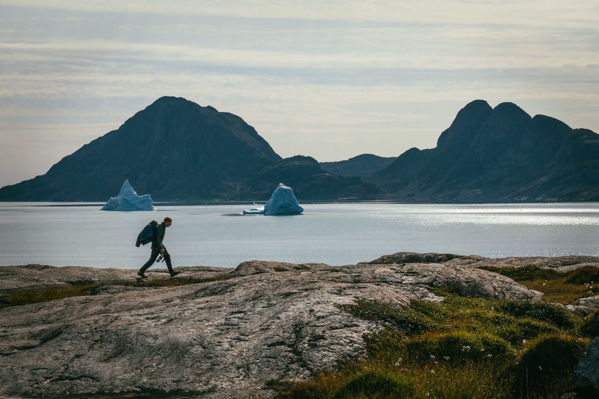 Cotton gras and Bear Islands hike, Scoresbysund, Greenland