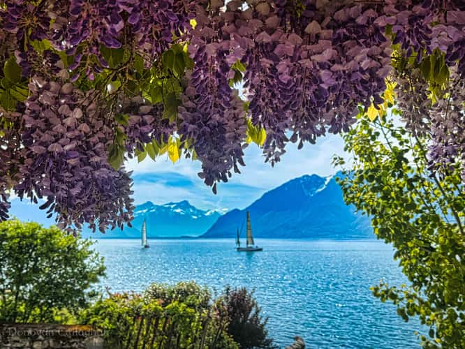 Cully, Vaud, Switzerland