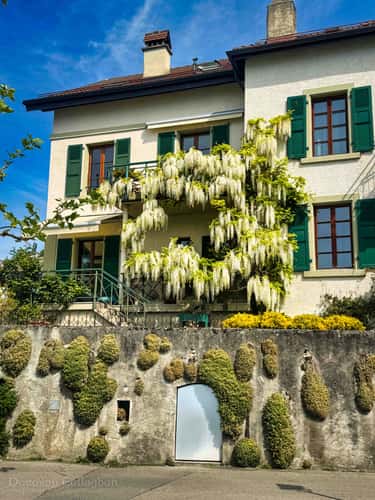 Cully, Vaud, Switzerland