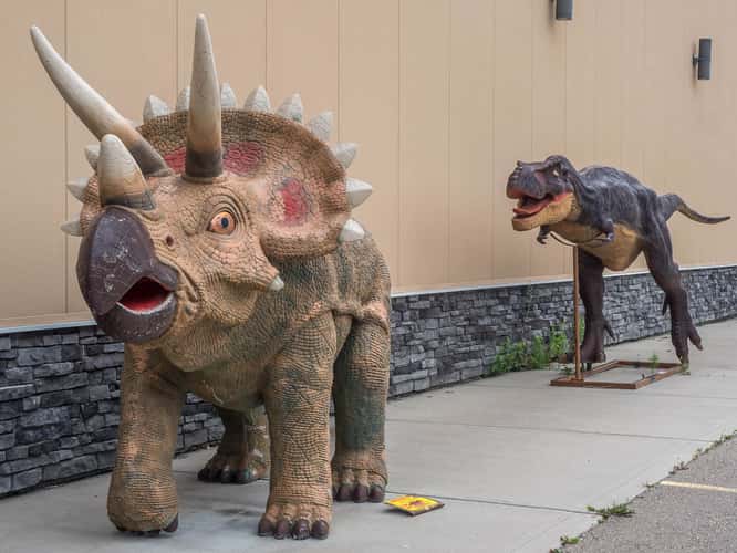 Dinosaur Trail North Loop