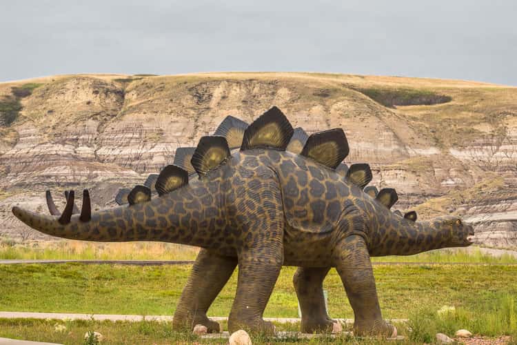 Dinosaur Trail North Loop