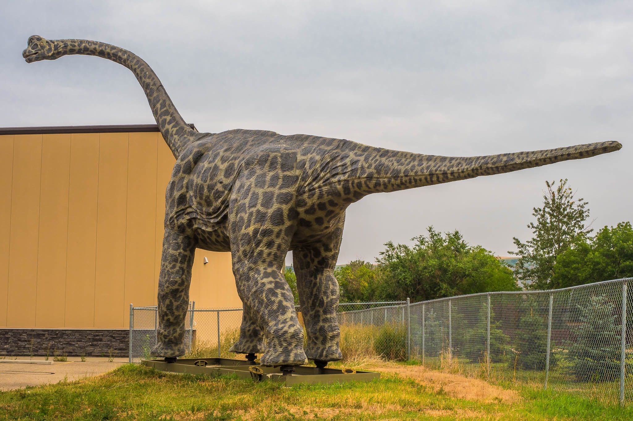 Dinosaur Trail North Loop, Canada