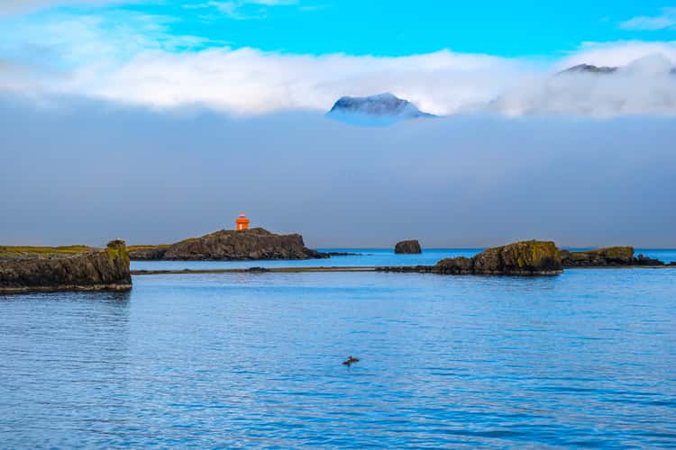 Djupivogur habour