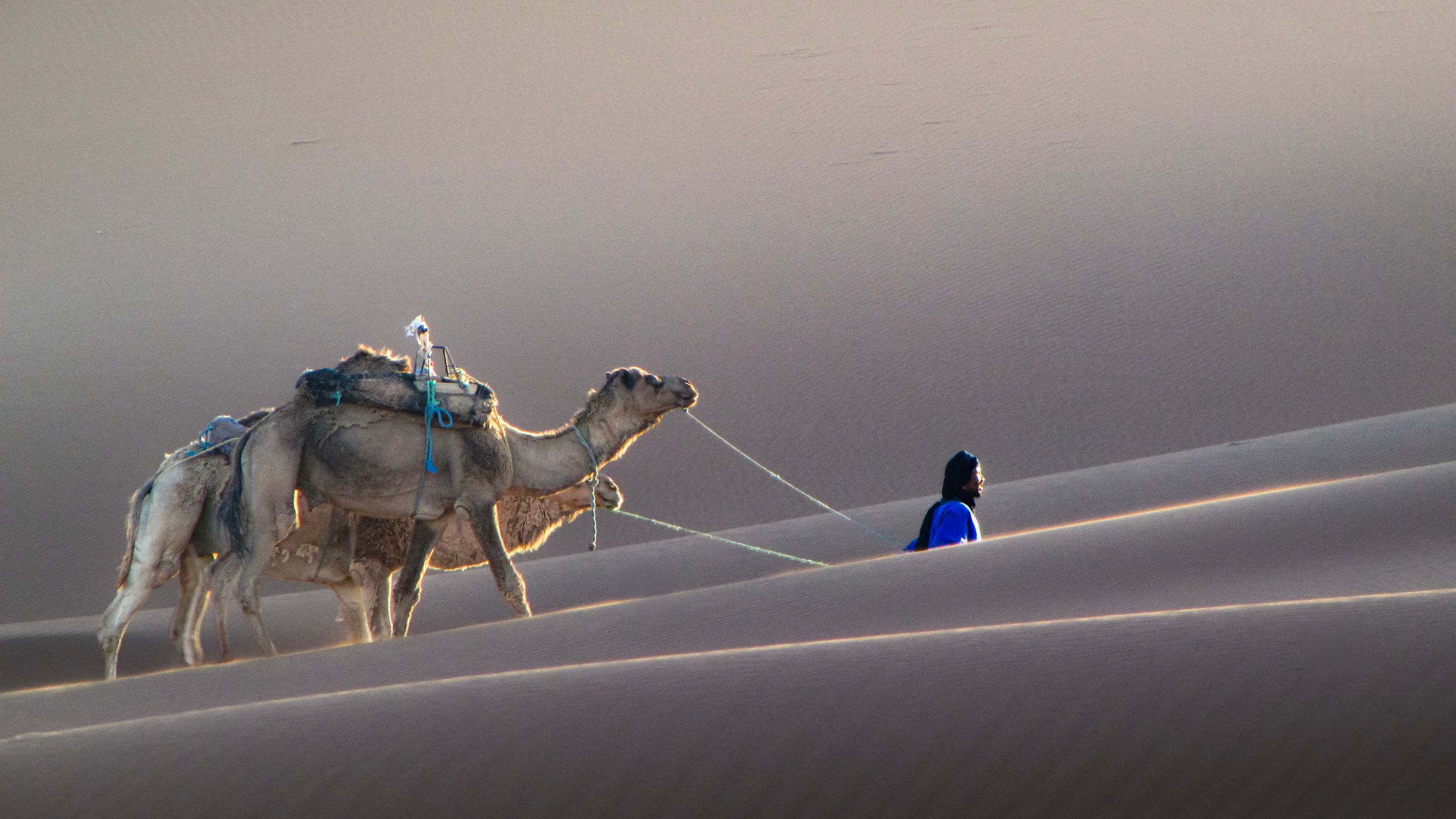 Erg Chigaga, Morocco