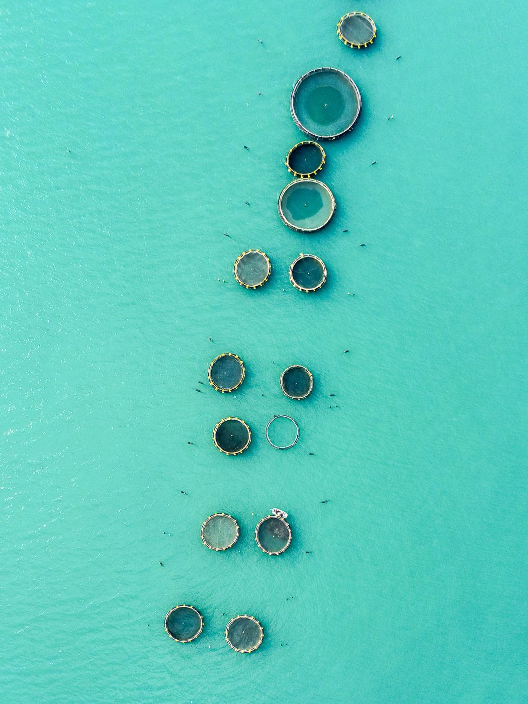 Fishings nets, Italy