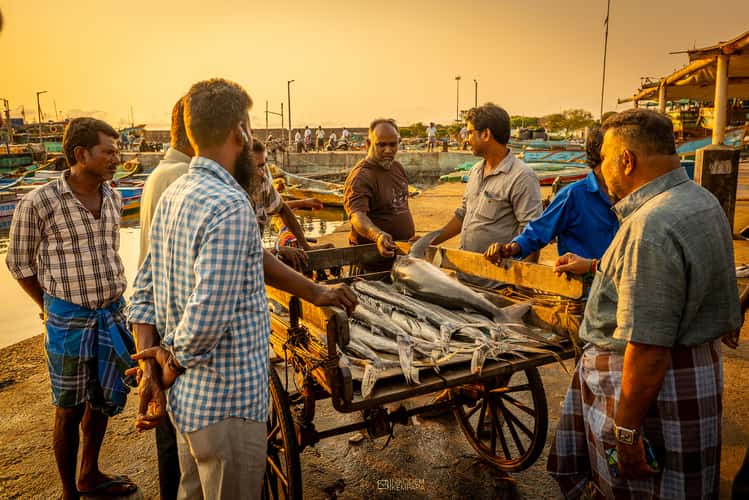 FishMarket