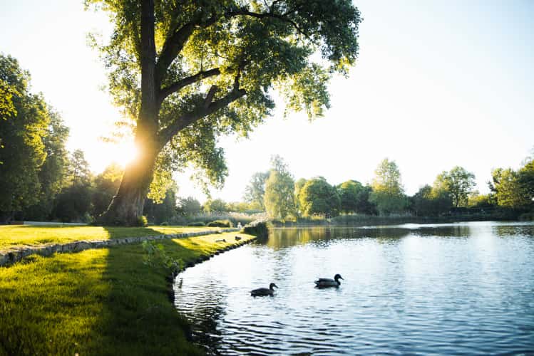 Flickschupark Burg