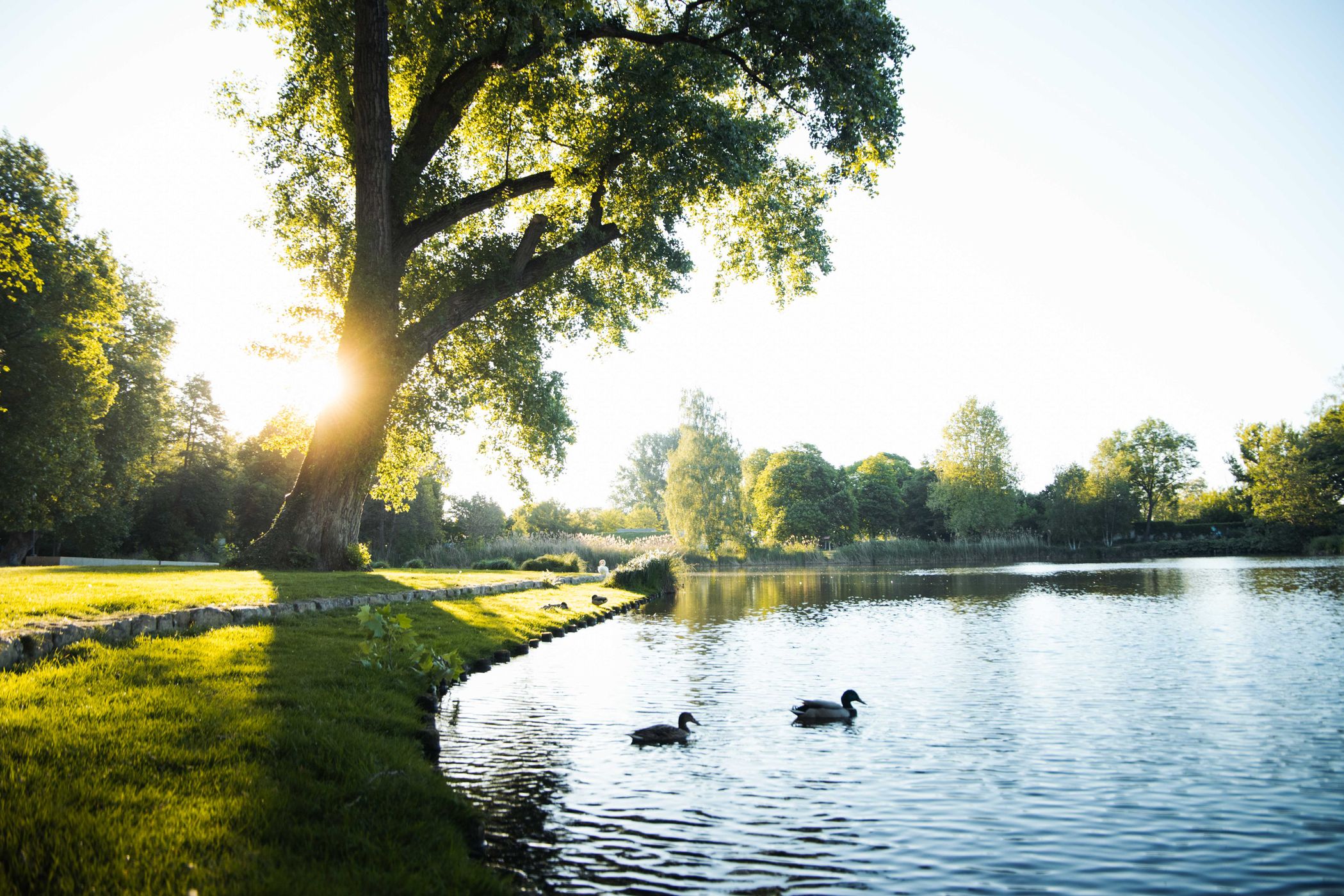 Flickschupark Burg, Germany