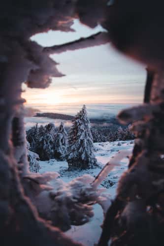 Frozen Troll Army on the Brocken summit