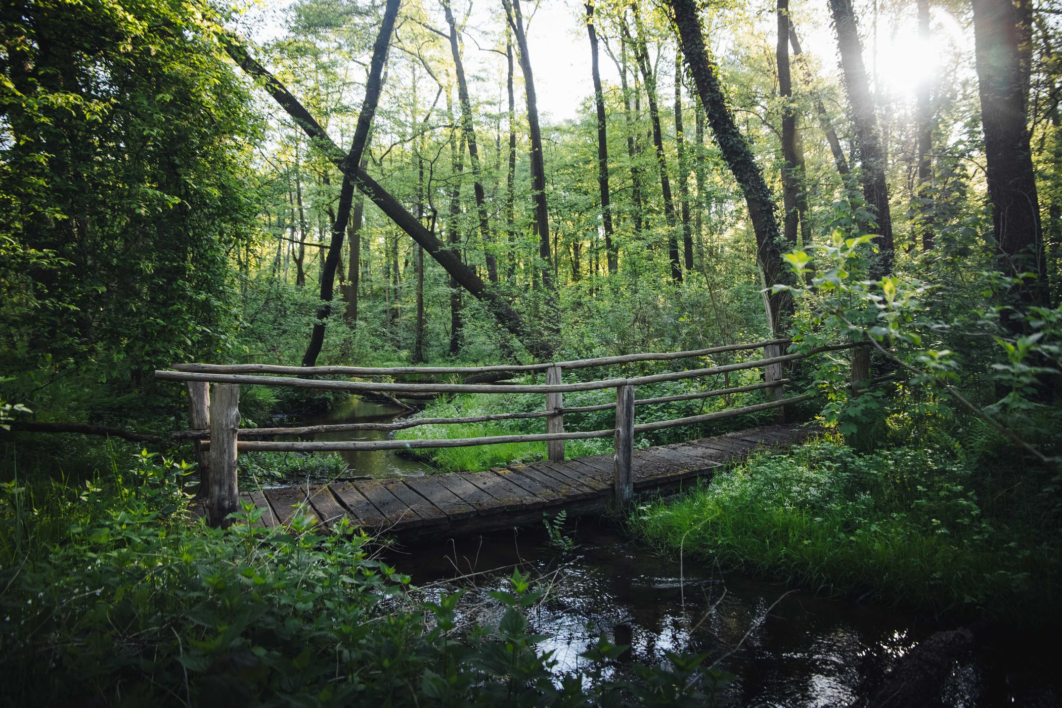 Gloinetal, Germany